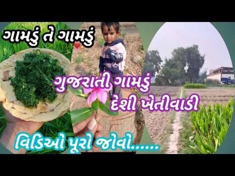 શિયાળા ની સવાર ગામડું તો ગામડું || villages life khetidadi farmers and villages kheti video ||#vlog