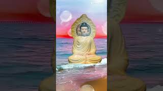 kardo jagat kalyan tathagat song #shortvideo #buddhawhatsappstatus 🌺🙏🏻🙏🏻🙏🏻🌺