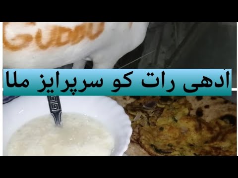 Gudduu 🐐🐑🐏Qurbani ly li Alhmudolillah/Pakistani mom lifestyle