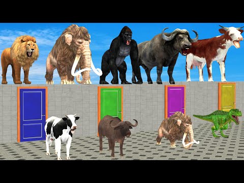 Don’t Choose the Wrong Door And Win With Elephant Mammoth Cow Lion Gorilla Buffalo Wild Animals 2023