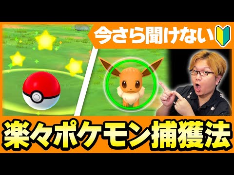 今さら聞けない効率的な捕獲方法!!ナイスとかカーブってなんの効果があるの?【ポケモンGO】