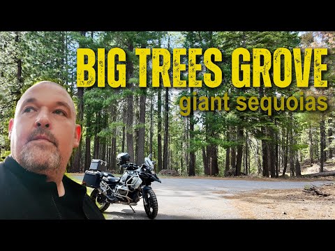 Exploring Trail #16: Adventure Motorcycle Ride to Big Trees Grove & Giant Sequoias