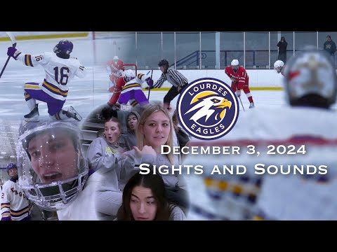 Lourdes vs Austin 12 3 2024 Sights and Sounds #hockeyhighlights #hockey #hockeynight