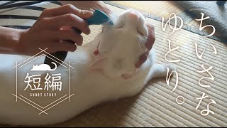 結局、猫ペース。