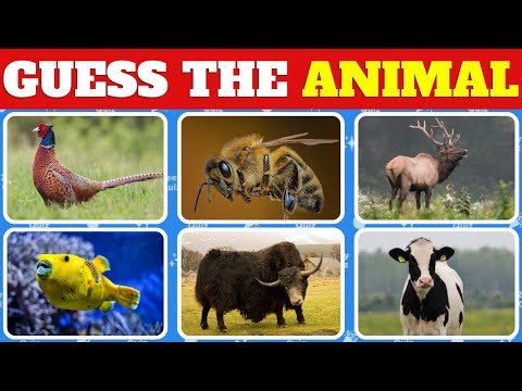 Farmyard Frenzy: Guess The Farm Animal