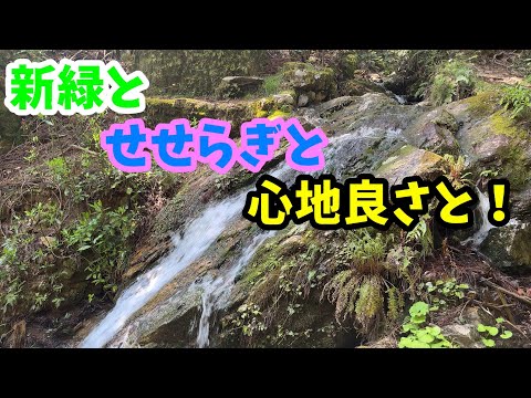 【山登り】新緑とせせらぎと心地良さと！