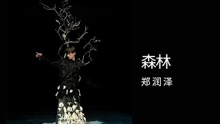 森林 郑润泽 (Lyrics Video)