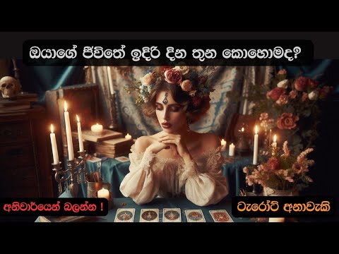 ඔයාගේ ජීවිතේ ඉදිරි දින තුන කොහොමද? 🧿💫 Sinhala Tarot Predictions 💫