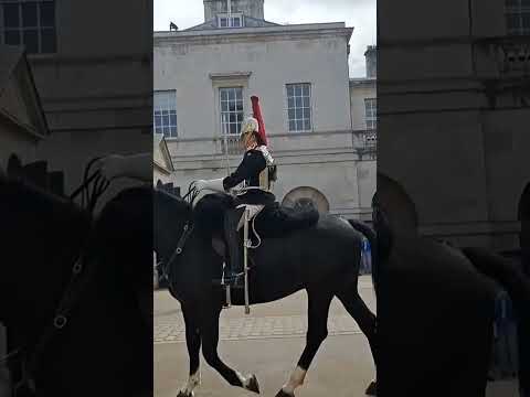 King's guards horses #king #guards #horse #london #india #ytshots @vichethediamonds#