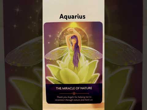 Aquarius / The Angels are encouraging you to take yourself outside and connect with nature