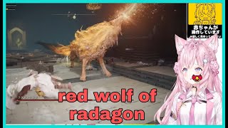 Hakui Koyori Vs Red Wolf Of Radagon : Never ending Scream [Hololive/Eng Sub]