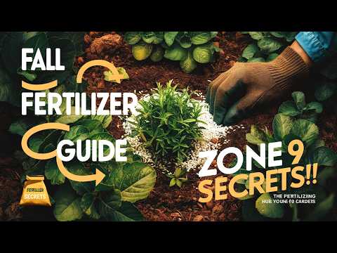 How to Fertilize Your Fall Garden in Zone 9: Pro Tips for Lush Plants!