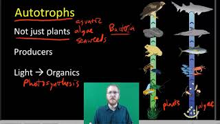 Autotrophs and Heterotrophs