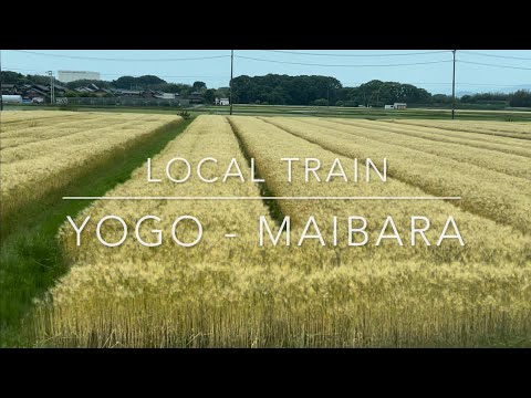 Local Train Ride Yogo - Maibara | Shiga Prefecture