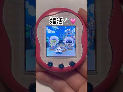 たぬきにんじゃっち婚活💗 #tamagotchi #tamagotchiuni #たまごっち #たまごっちユニ #shorts