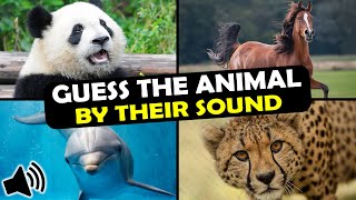 Guess the Animal Sound Game | 31 Animal Sounds Quiz | Multiple Choice