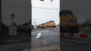 Adventure with Star #starlingrimes #trainsofpnw #short #railroadphotography #unionpacific #oregon