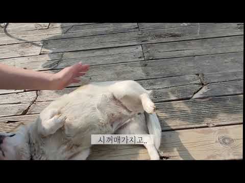 [DAY4] 귀촌은 할 일도 많지, 집안일 내기 승부 승자는 누구?