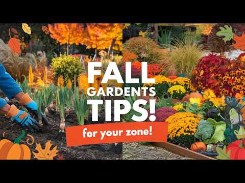 Top Fall Gardening Tips for Every Zone: Plant, Protect & Prepare!