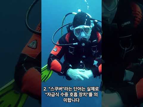 스쿠버다이빙에 관한 5가지 흥미로운 사실 [5 interesting facts about scuba diving]