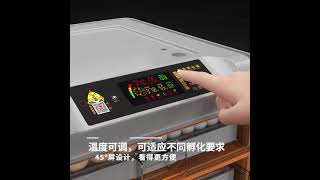 Drawer Type Small Size Incubator for Chicken Egg Incubation, Poultry Incubation +86 13760232625 Paul