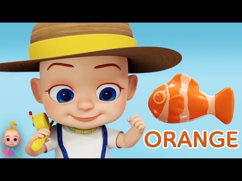 Color Toy Fishing Video, हिंदी कार्टून, Xylophone Song + Popular Kids Cartoon