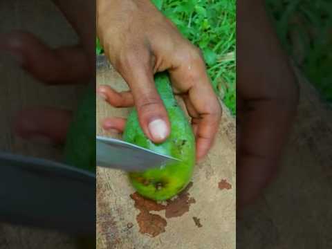 Watch this strange shaped mango being cut  #mango #fruit #sorts