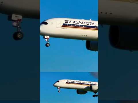 Singapore Airlines landing at Barcelona #youtubeshorts #planespotting #shorts #short #bcn