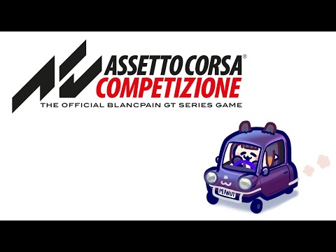 【Assetto Corsa Competizione】 SPEED (Moderately)