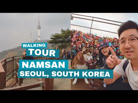 Namsan Walking Tour with Amazing Views (Seoul South Korea)