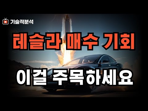 테슬라 vs 엔비디아 어떤 종목이 매수 기회일까 ｜기초에 충실해서 매수하세요!