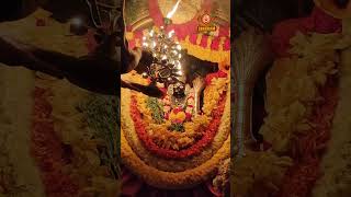 అమ్మవారి మంగళ హారతి Ammavari Mangala Haarti #lakshmi #harathi #lakshmidevi #Friday #shortsvideo