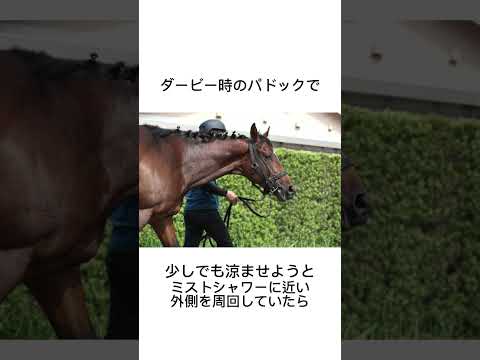 何でも食べるドウデュース　#競馬 #馬 #騎手 #競艇 #競輪#雑学#ドウデュース