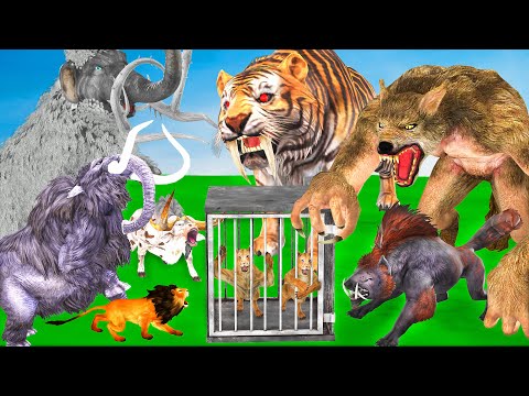 Woolly Mammoth Lion vs Giant Tiger Wolf Hyena attack Cow Cartoon Bull Lion Cubs Save by Mammoth