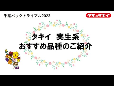 【園芸】2023‐2024　実生系　タキイおススメ品種