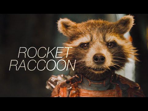 The Story of Rocket Raccoon