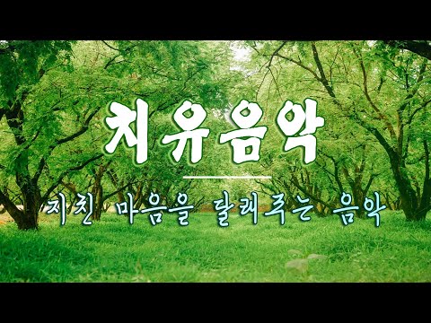 행운을 끌어오는 신비한 명상음악🌲하루10분 만병을 치료 해주는 힐링 명상 기치료 음악 및 영상 - 아침음악, 힐링음악, 명상음악, 스트레스해소음악