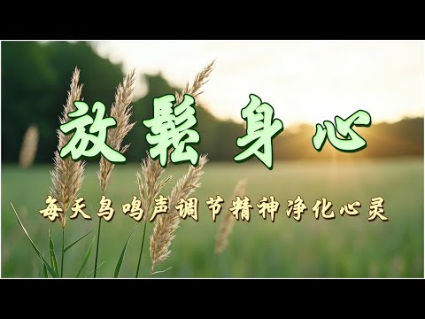 早上聽的好歌 , 清除負面能量🎵3小时的沉静音乐，充满正能量的钢琴音乐_早晨的放松音乐，鸟的声音, 早上康復音樂, 音樂讓您感到舒適