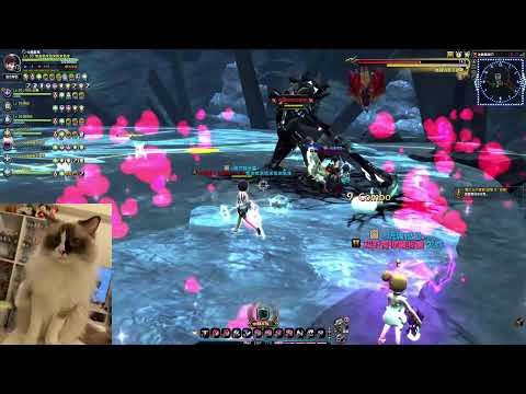 2022/11/10 - Dragon Nest 冰龍 21F 新手小白龍