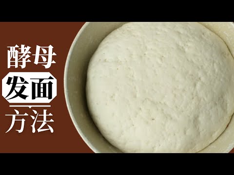 酵母发面方法｜酵母面粉比例｜快速发面技巧