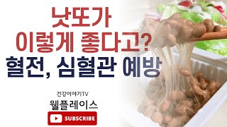 세계 5대 건강식품! 낫또의 놀라운 효능 공개 [낫또 효능, 나토키아아제, 혈전예방, 낫또 먹는법]