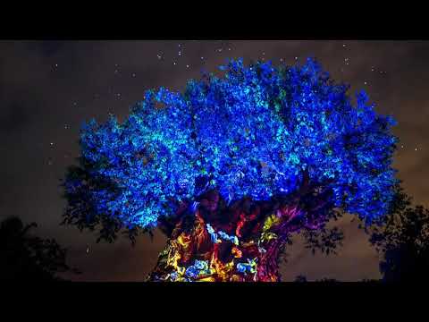 Tree Of Life Awakening- Disney Melody