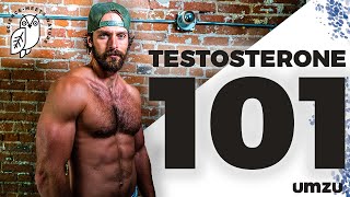 Testosterone 101: How To Increase Testosterone, LH, and FSH