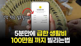 5분안에 부족한 생활비 100만원 빌리는 법 (무직자포함)