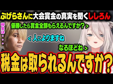 【スト6】ぷげらさんに大会賞金の真実を聞くししろん。【獅白ぼたん/ホロライブ切り抜き】