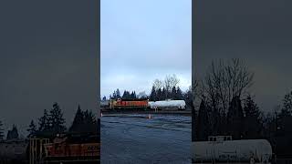 Adventure with Star #starlingrimes #trainsofpnw #short #railroadphotography #BNSF #vancouver