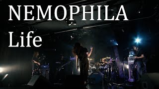 NEMOPHILA / Life [Official Live Video]