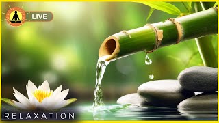 🔴 Relaxing Zen Music 24/7, Stress Relief Music, Sleep Music, Meditation Music, Study, Calming Music