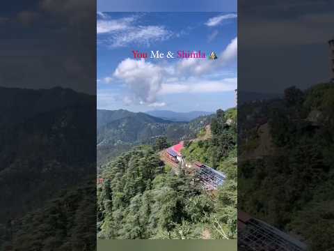 #shimla #nature #uttarakhand #india #youtubeshorts #natureshortsviral