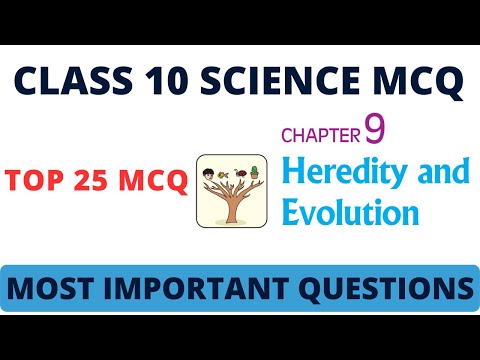 Heredity: The Best MCQs For Class 10!